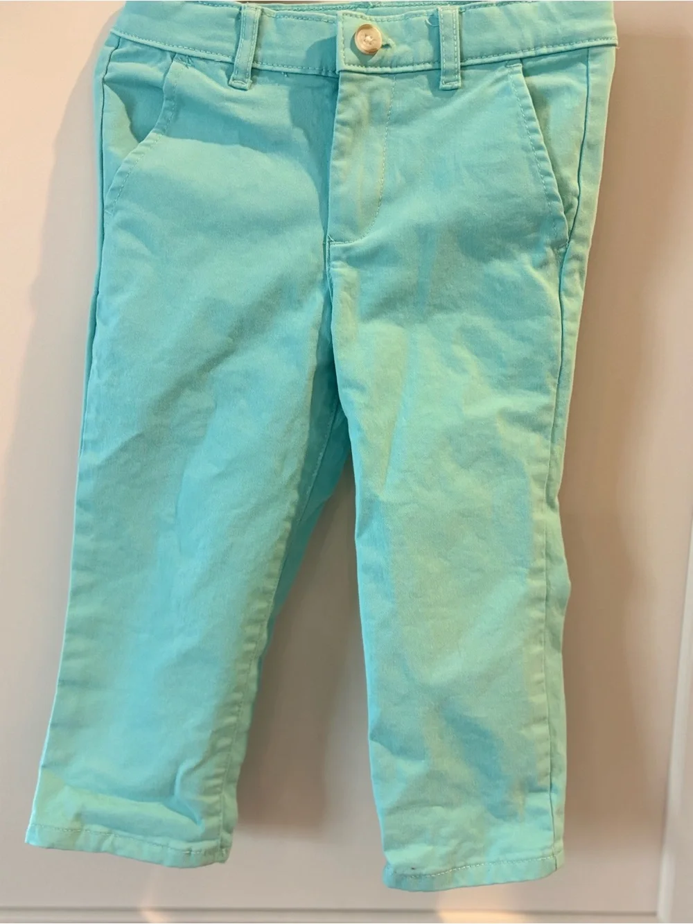 Gymboree Mint Green Bunny Print Button-Up Shirt and Chino Pants
